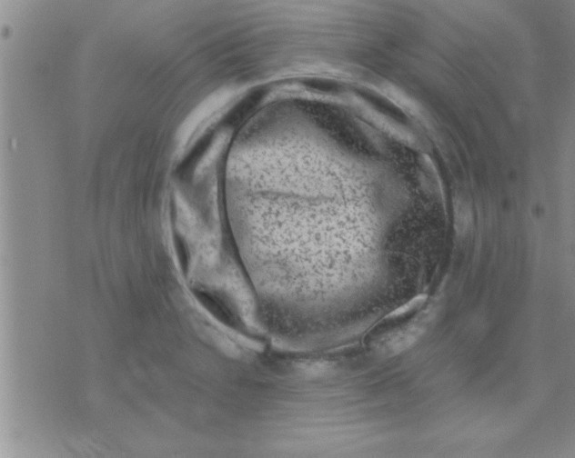 X0000075921230200610151858