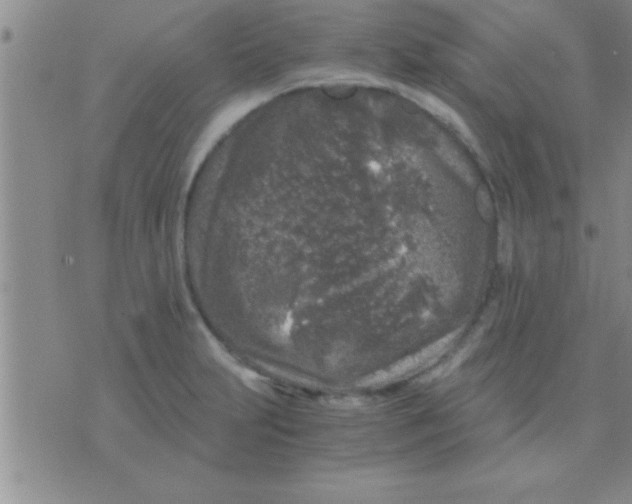 X0000075921231200610151858