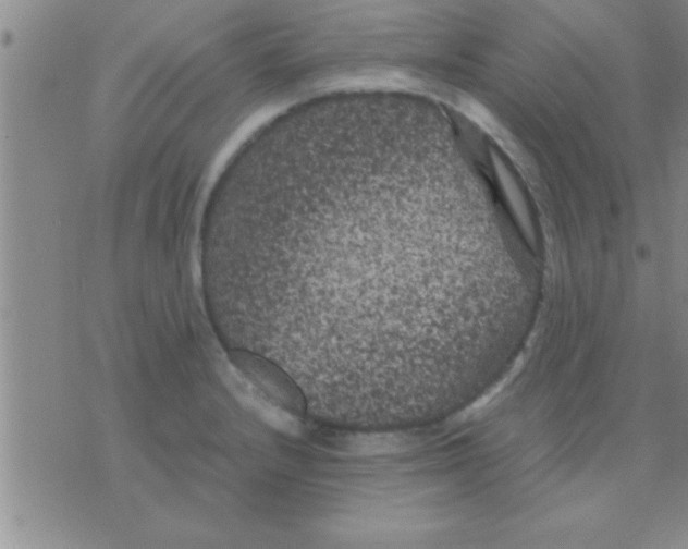 X0000075921232200610151858