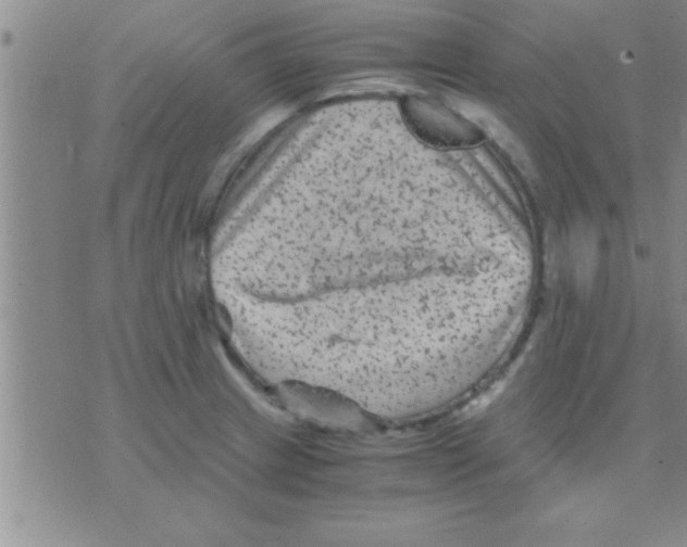 X0000075921233200610151858