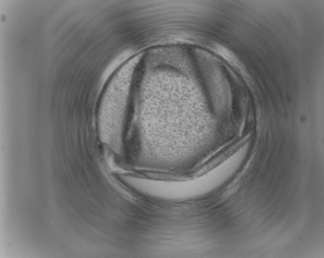 X0000075921234200610151858