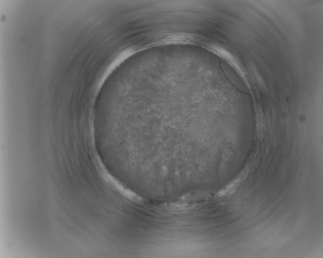 X0000075921235200610151858