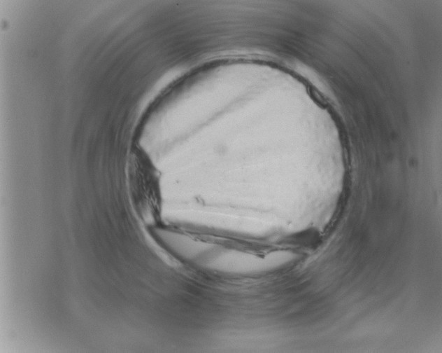 X0000075921237200610151858