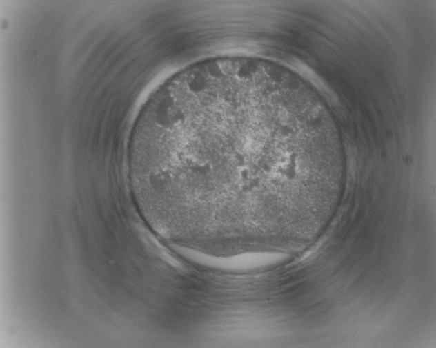 X0000075921240200610151858