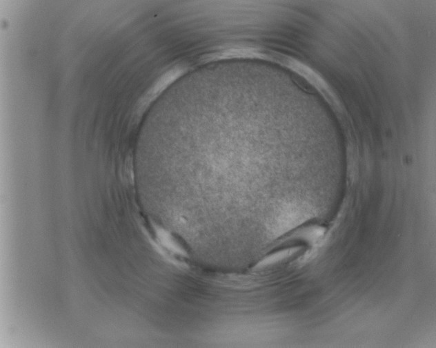 X0000075921241200610151858