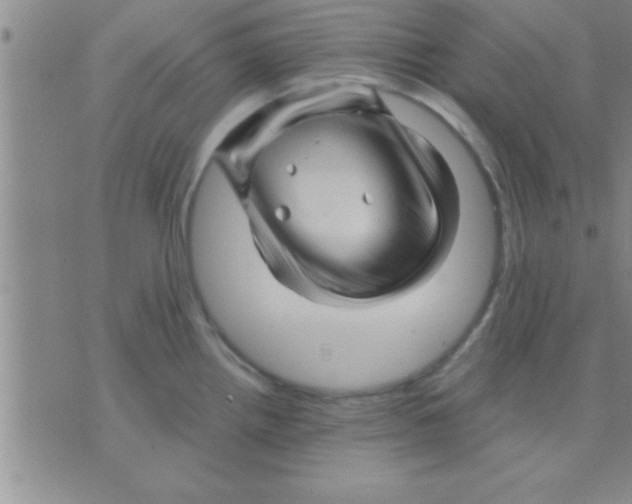 X0000075921242200610151858