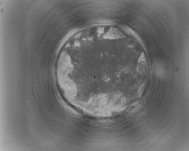 X0000075921243200610151858