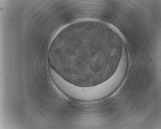 X0000075921244200610151858