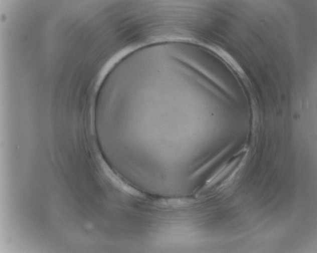 X0000075921246200610151858