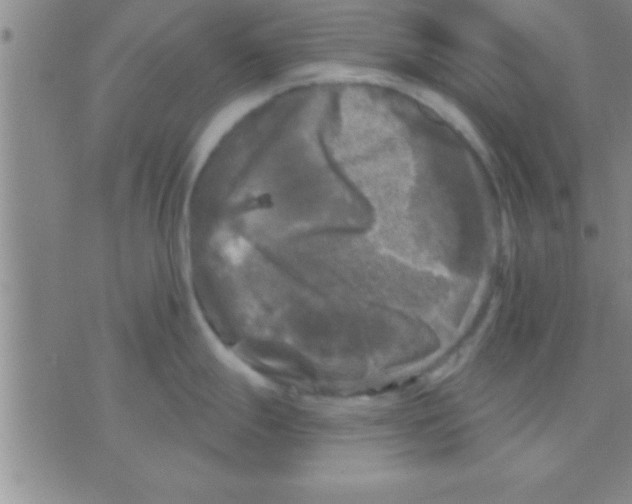 X0000075921247200610151858