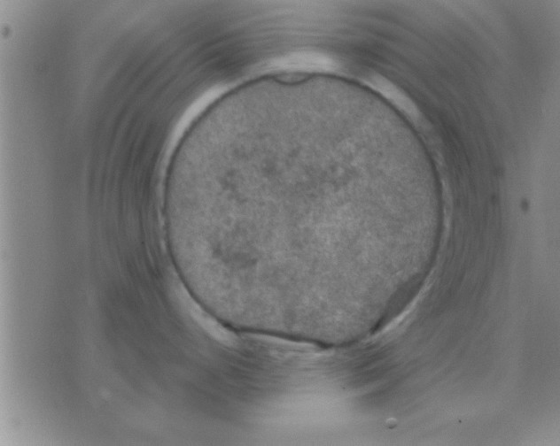 X0000075921248200610151858