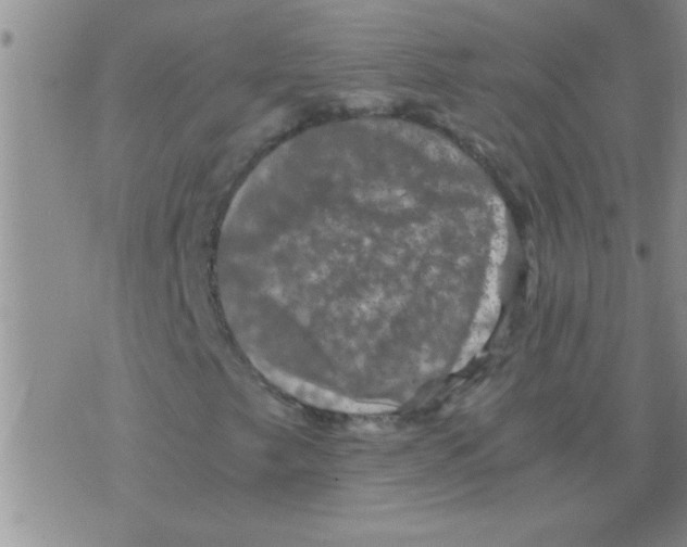 X0000075921249200610151858