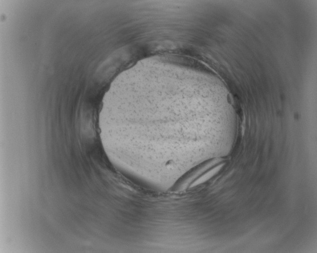 X0000075921250200610151858