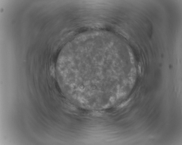 X0000075921251200610151858