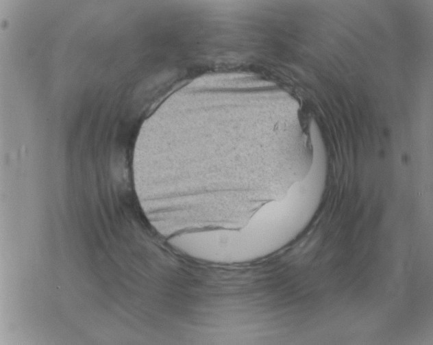 X0000075921252200610151858