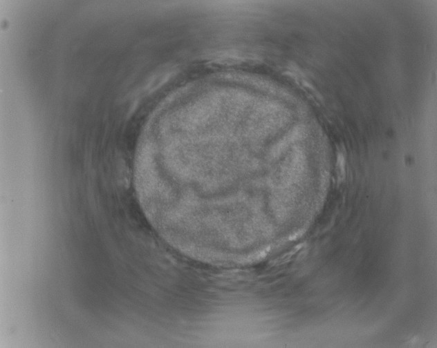 X0000075921253200610151857