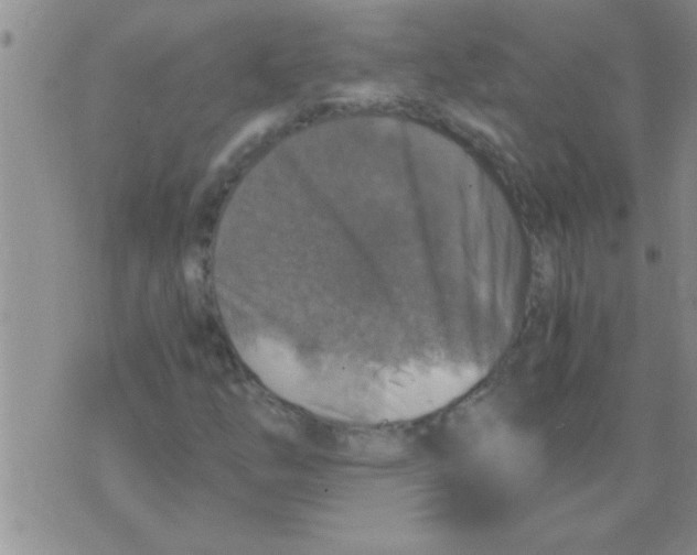 X0000075921254200610151857