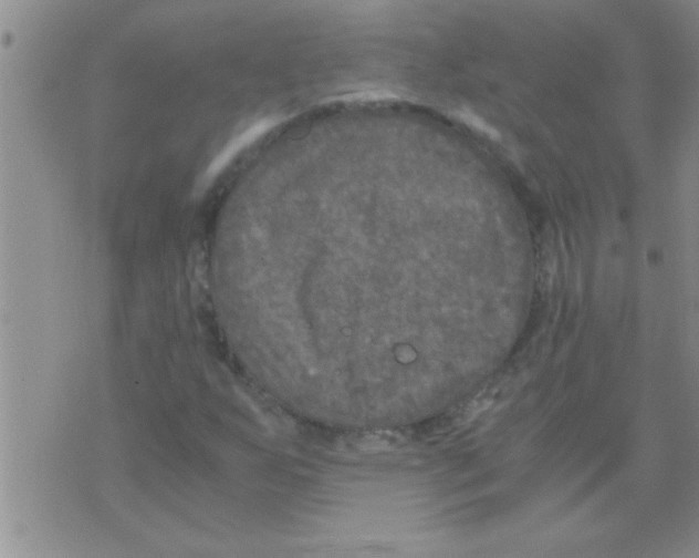 X0000075921255200610151857