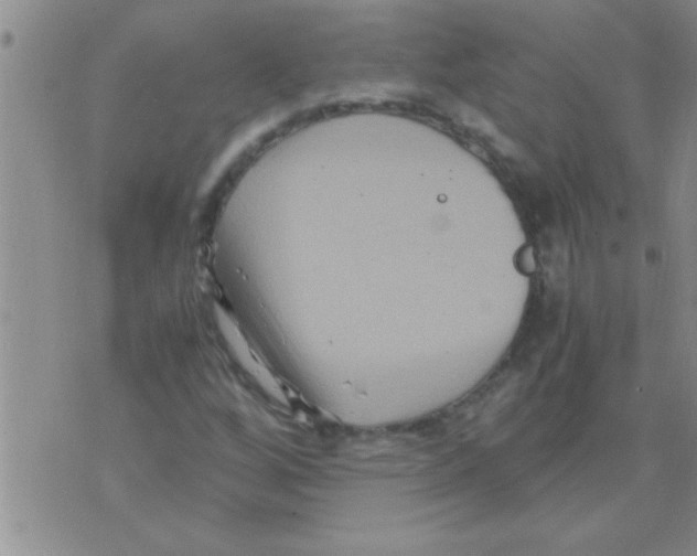 X0000075921256200610151857