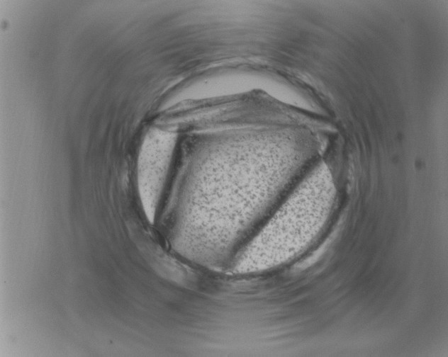 X0000075921257200610151857