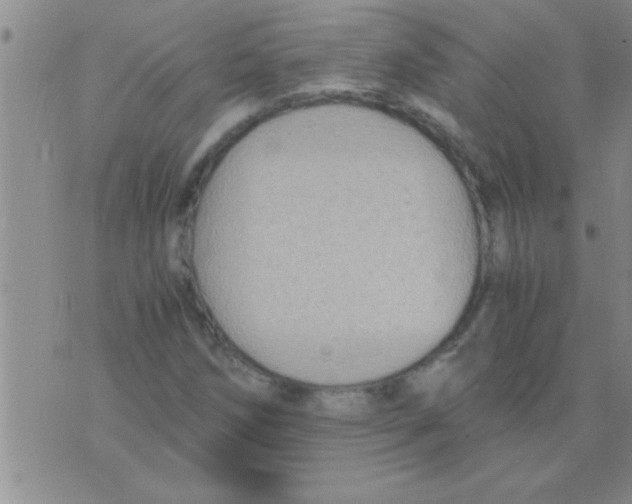 X0000075921258200610151857