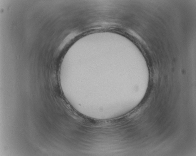 X0000075921259200610151857