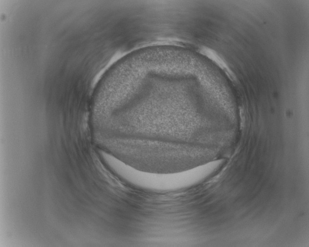 X0000075921260200610151857