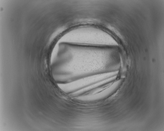 X0000075921261200610151857