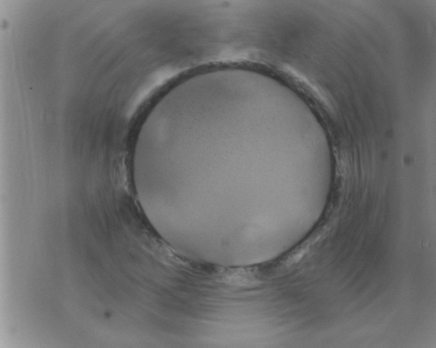 X0000075921262200610151857