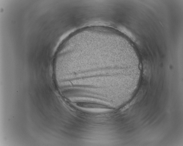 X0000075921264200610151857