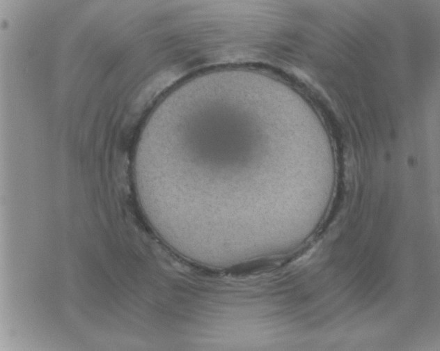 X0000075921265200610151857