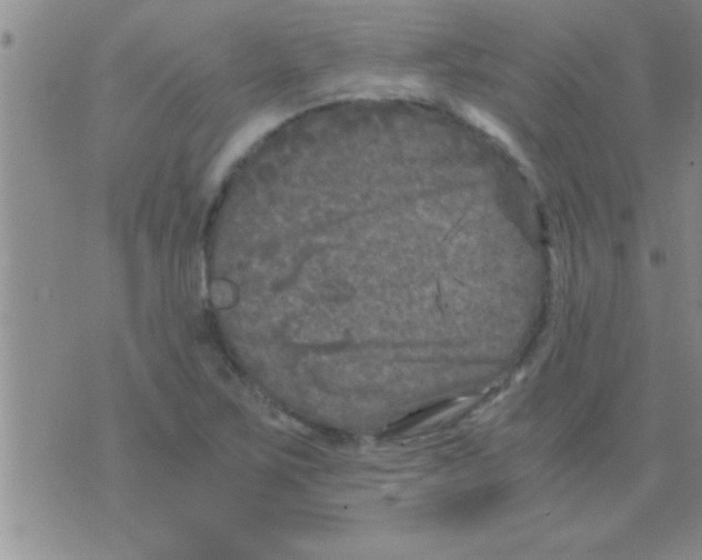 X0000075921267200610151857