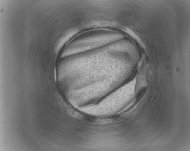 X0000075921269200610151857