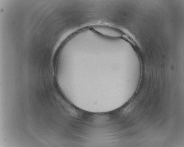 X0000075921270200610151857