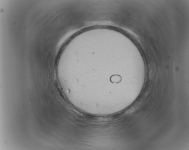 X0000075921271200610151857