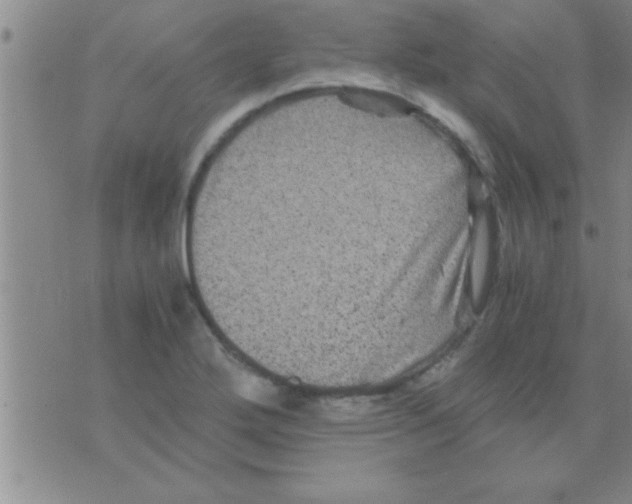 X0000075921272200610151857