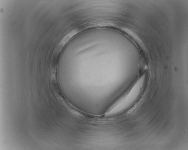 X0000075921273200610151857