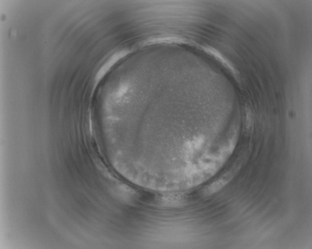 X0000075921274200610151857