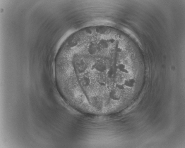 X0000075921275200610151857