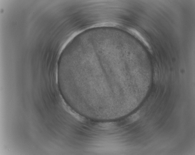 X0000075921276200610151857