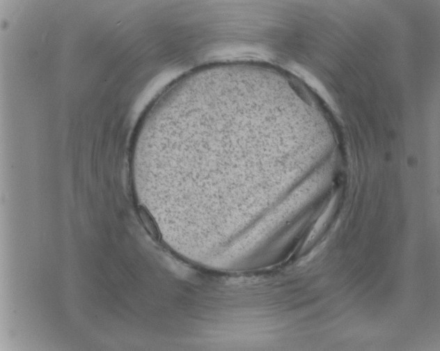 X0000075921277200610151857