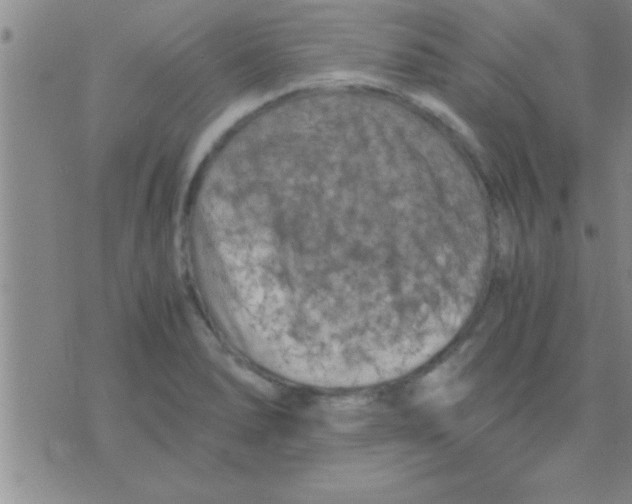 X0000075921278200610151857