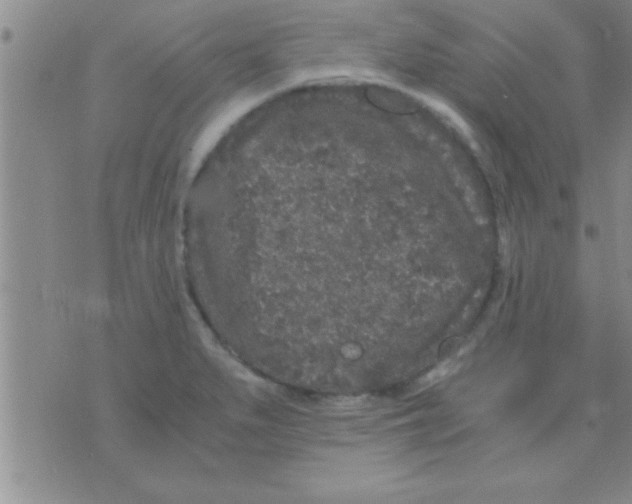 X0000075921279200610151857