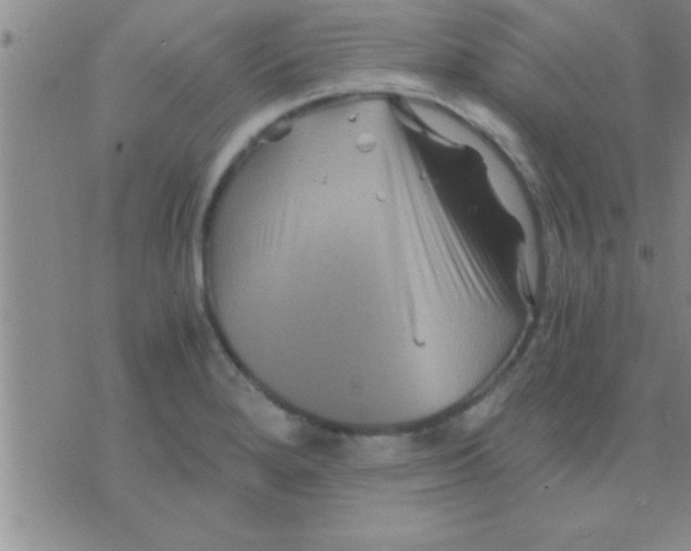 X0000075921280200610151857