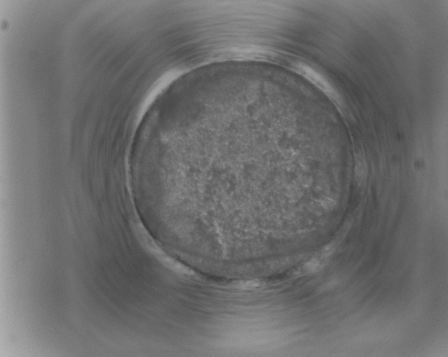 X0000075921283200610151857