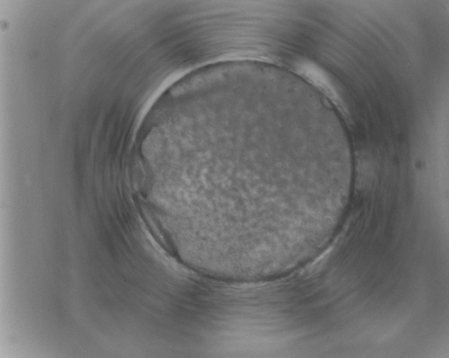 X0000075921284200610151857