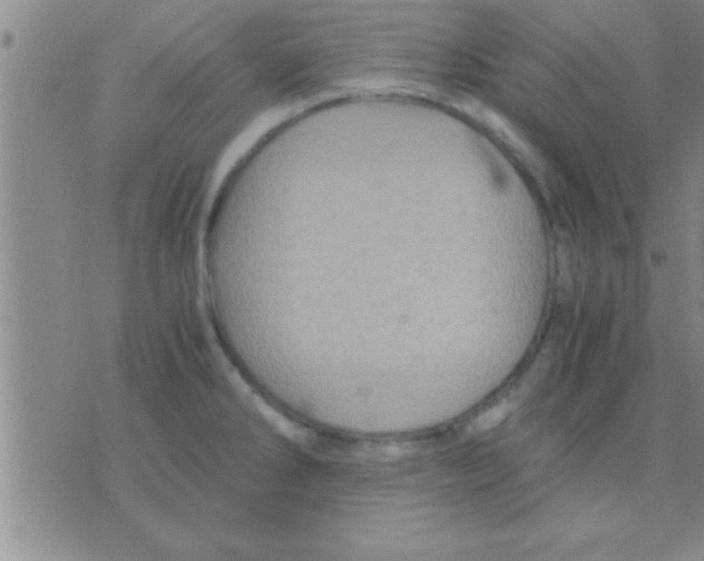 X0000075921286200610151857