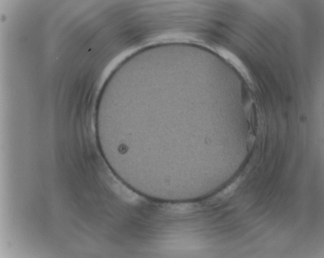 X0000075921288200610151857