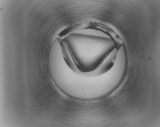 X0000075921289200610151857