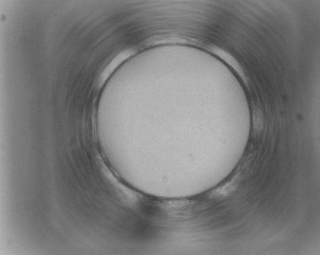 X0000075921290200610151857